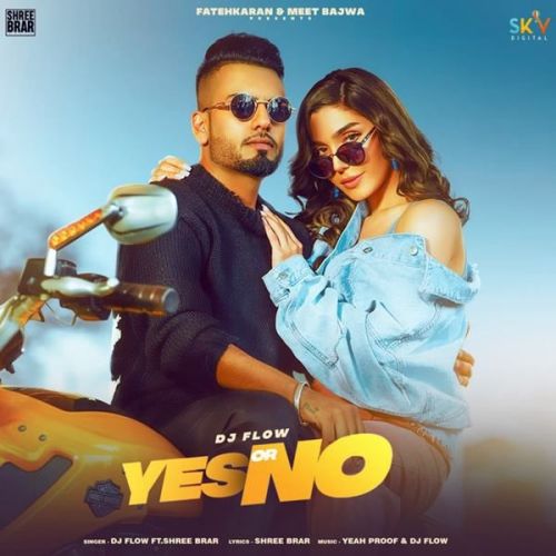 Download Yes or No DJ Flow, Shree Brar mp3 song, Yes or No DJ Flow, Shree Brar full album download