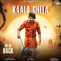 Gulzaar Chhaniwala mp3 songs download,Gulzaar Chhaniwala Albums and top 20 songs download