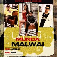 Bling Singh and Sukh Sarpanch mp3 songs download,Bling Singh and Sukh Sarpanch Albums and top 20 songs download