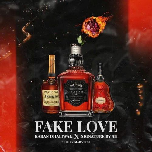 Download Fake Love Karan Dhaliwal mp3 song, Fake Love Karan Dhaliwal full album download