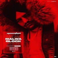 Sidhu Moose Wala mp3 songs download,Sidhu Moose Wala Albums and top 20 songs download