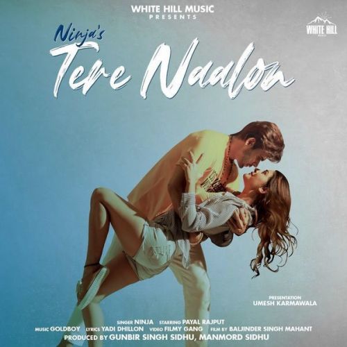 Download Tere Naalon Ninja mp3 song, Tere Naalon Ninja full album download