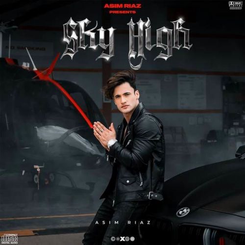 Download Sky High Asim Riaz mp3 song, Sky High Asim Riaz full album download