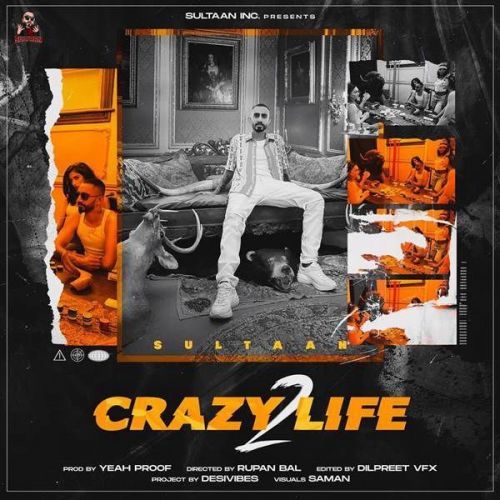 Download Crazy Life 2 Sultaan mp3 song, Crazy Life 2 Sultaan full album download