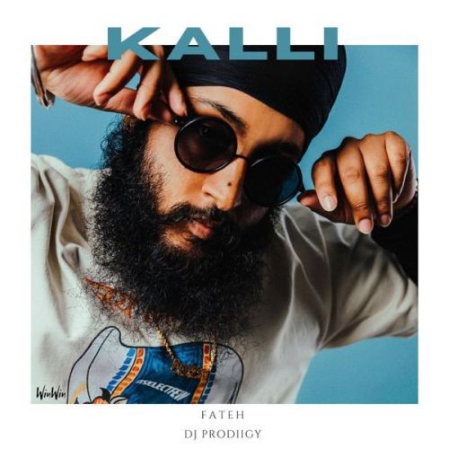 Download Kalli Fateh mp3 song, Kalli Fateh full album download
