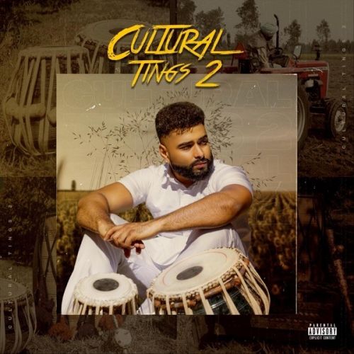 Cultural Tings 2 By AK, Labh Janjua and others... full mp3 album