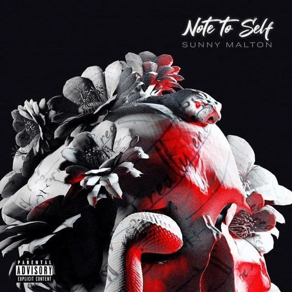 Download Note to Self Sunny Malton mp3 song