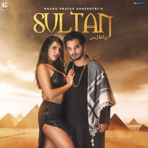 Download Sultan Bhanu Pratap Agnihotri mp3 song, Sultan Bhanu Pratap Agnihotri full album download