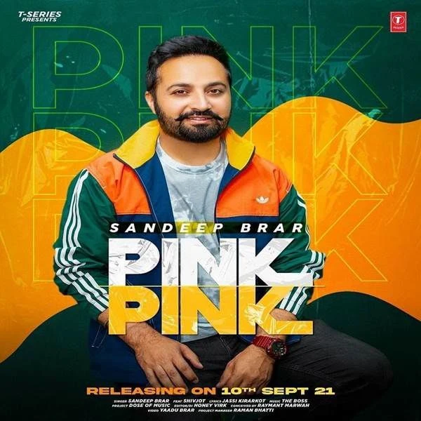 Download Pink Pink Sandeep Brar mp3 song