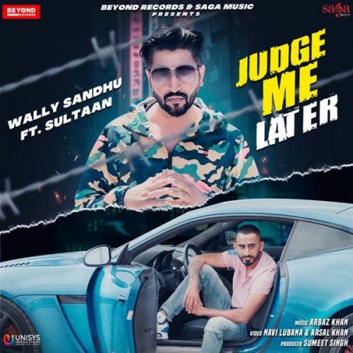 Download Judge Me Later Sultaan, Wally Sandhu mp3 song, Judge Me Later Sultaan, Wally Sandhu full album download
