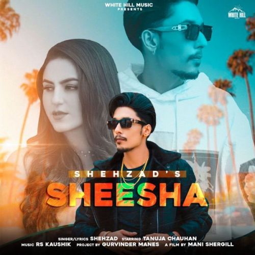 Download Sheesha Shehzad mp3 song, Sheesha Shehzad full album download
