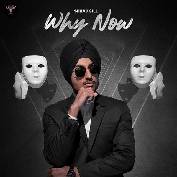 Download Why Now Sehaj Gill mp3 song