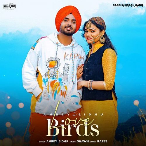 Download Love Birds Amrey Sidhu mp3 song, Love Birds Amrey Sidhu full album download