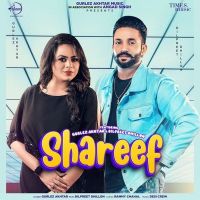 Gurlej Akhtar and Dilpreet Dhillon mp3 songs download,Gurlej Akhtar and Dilpreet Dhillon Albums and top 20 songs download