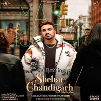 Yasir Hussain mp3 songs download,Yasir Hussain Albums and top 20 songs download