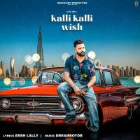 Arsh Lally mp3 songs download,Arsh Lally Albums and top 20 songs download