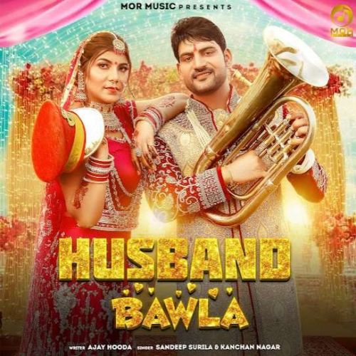 Download Husband Bawla Sandeep Surila mp3 song, Husband Bawla Sandeep Surila full album download
