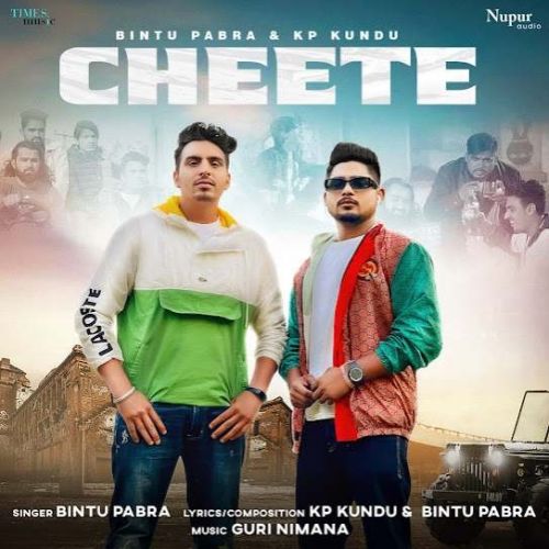 Download Cheete Bintu Pabra mp3 song, Cheete Bintu Pabra full album download