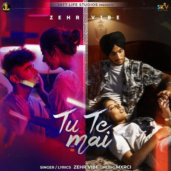 Download Tu Te Mai Zehr Vibe mp3 song