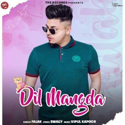 Download Dil Mangda Falak mp3 song, Dil Mangda Falak full album download