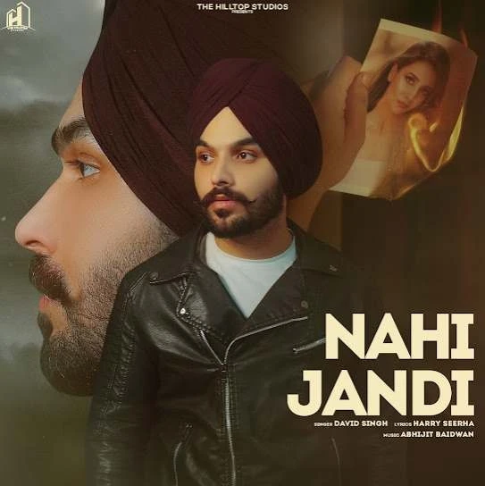 Download Nahi Jandi David Singh mp3 song