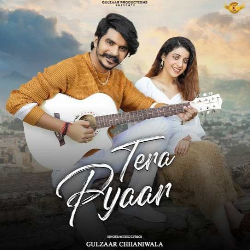 Download Tera Pyaar Gulzaar Chhaniwala mp3 song, Tera Pyaar Gulzaar Chhaniwala full album download