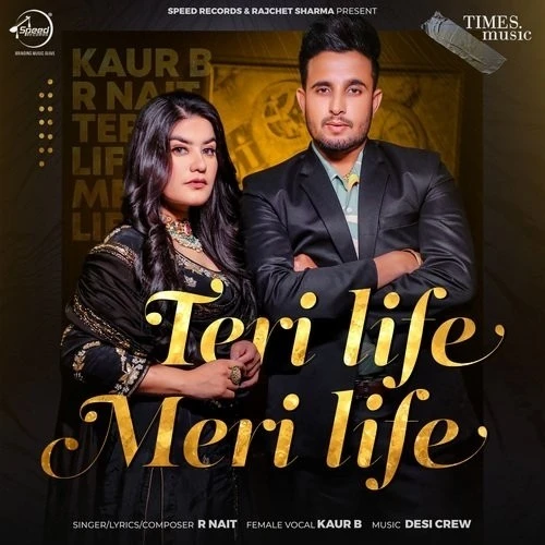 Download Teri Life Meri Life R Nait and Kaur B mp3 song