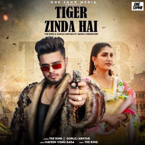 Download Tiger Zinda Hai The King and Gurlej Akhtar mp3 song