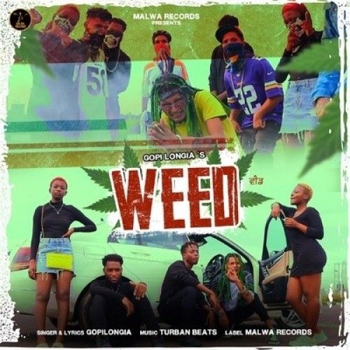 Download WEED Gopi Longia mp3 song, WEED Gopi Longia full album download