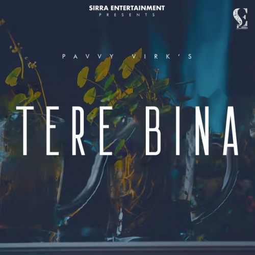Download Tere Bina Pavvy Virk mp3 song, Tere Bina Pavvy Virk full album download