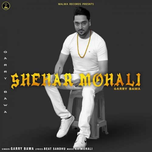 Download Shehar Mohali Garry Bawa mp3 song, Shehar Mohali Garry Bawa full album download