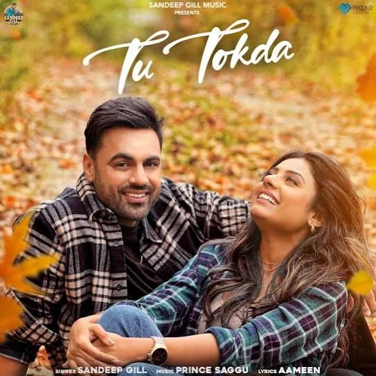 Download Tu Tokda Sandeep Gill mp3 song, Tu Tokda Sandeep Gill full album download