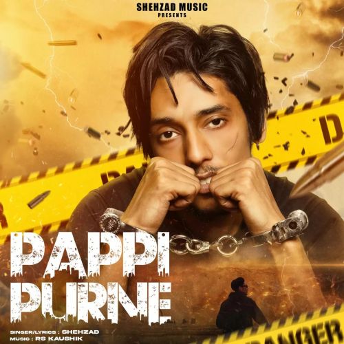 Download Pappi Purne Shehzad mp3 song, Pappi Purne Shehzad full album download