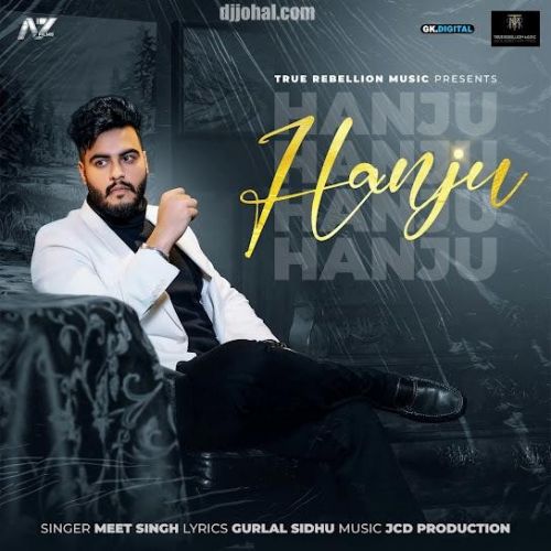 Download Hanju Meet Singh mp3 song, Hanju Meet Singh full album download