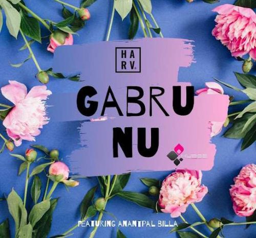 Download Gabru Nu DJ Harv mp3 song, Gabru Nu DJ Harv full album download
