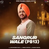 Sukhwinder Sukhi mp3 songs download,Sukhwinder Sukhi Albums and top 20 songs download