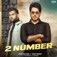 Jass Bajwa mp3 songs download,Jass Bajwa Albums and top 20 songs download