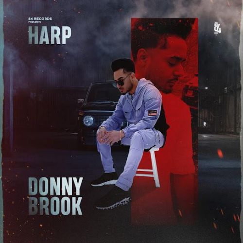 Download Donnybrook Harp mp3 song, Donnybrook Harp full album download