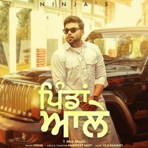 Download Pindan Ale (1 Min Music) Ninja mp3 song