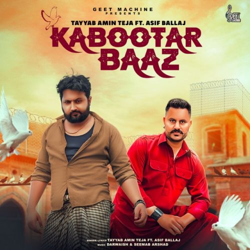 Download Kabootar Baaz Tayyab Amin Teja mp3 song, Kabootar Baaz Tayyab Amin Teja full album download