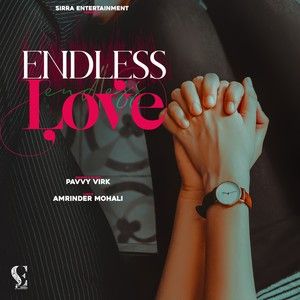 Download Endless Love Pavvy Virk mp3 song, Endless Love Pavvy Virk full album download