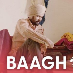 Download Baagh Amrinder Gill mp3 song, Baagh Amrinder Gill full album download