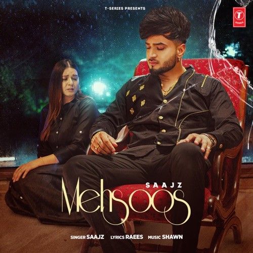 Download Mehsoos Saajz mp3 song, Mehsoos Saajz full album download