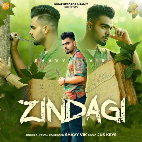 Download Zindagi Shavy Vik mp3 song, Zindagi Shavy Vik full album download