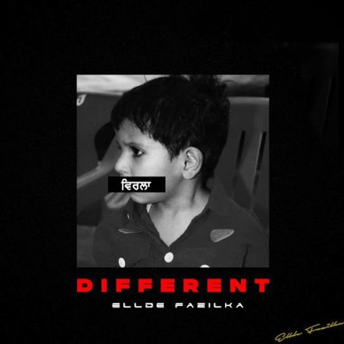 Download Am Not Sure Ellde Fazilka mp3 song, Different (Mix Tape) Ellde Fazilka full album download