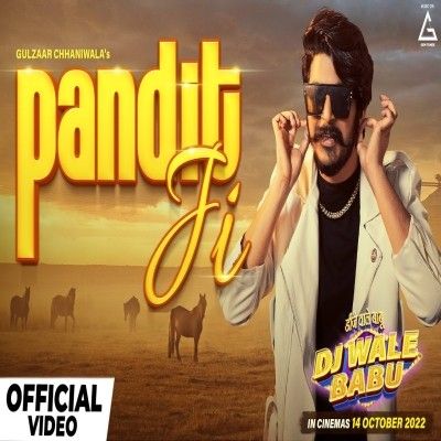 Download Pandit Ji Gulzaar Chhaniwala mp3 song, Pandit Ji Gulzaar Chhaniwala full album download