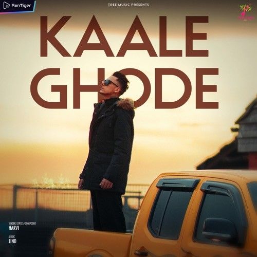 Download Kaale Ghode Harvi mp3 song, Kaale Ghode Harvi full album download