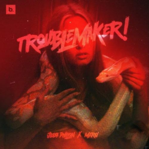 Download Trouble Maker Jassa Dhillon mp3 song, Trouble Maker Jassa Dhillon full album download