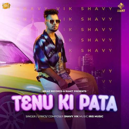 Download Tenu Ki Pata Shavy Vik mp3 song, Tenu Ki Pata Shavy Vik full album download