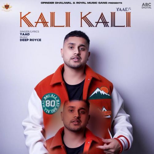 Download Kali Kali Yaad mp3 song, Kali Kali Yaad full album download